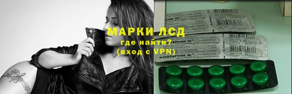 spice Осинники