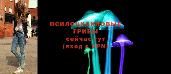 spice Осинники