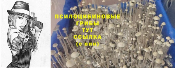 прущая мука Остров