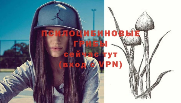прущая мука Остров