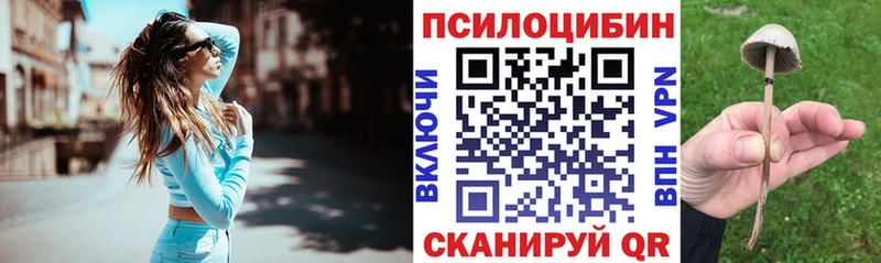 гидра как зайти  Кольчугино  Псилоцибиновые грибы Cubensis 