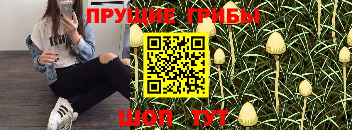 Кольчугино  Галлюциногенные грибы прущие грибы  Вход с VPN 